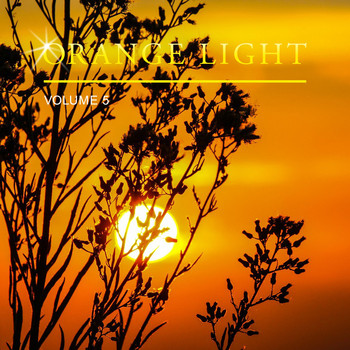 Various Artists - Orange Light, Vol. 5