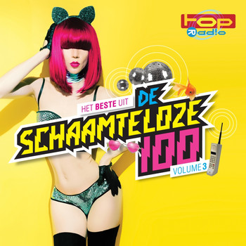 Various Artists - TOPradio - De Schaamteloze 100 - Volume 3