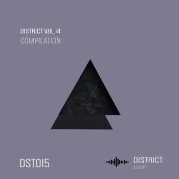 Various Artists - District 14