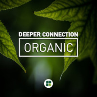 Deeper Connection - Organic