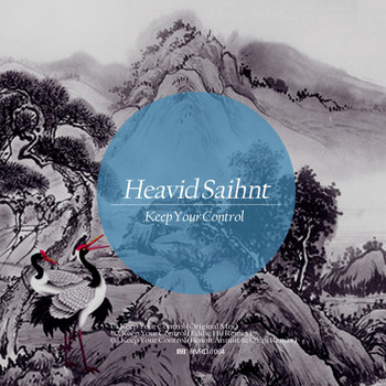 Heavid Saihnt - Keep Your Control