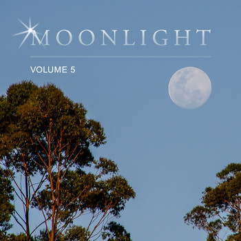 Various Artists - Moonlight, Vol. 5