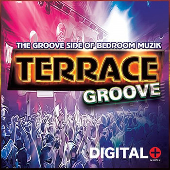 Various Artists - The Groove Side Of Bedroom Terrace Groove