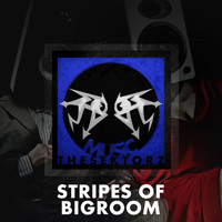 The Sektorz - Stripes of Bigroom
