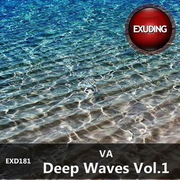 Various Artists - Deep Waves, Vol.1