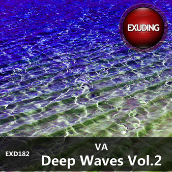 Various Artists - Deep Waves, Vol.2