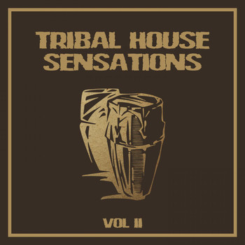 Various Artists - Tribal House Sensations, Vol. 2