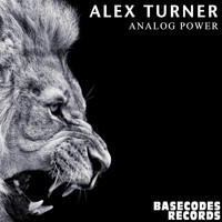 Alex Turner - Analog Power