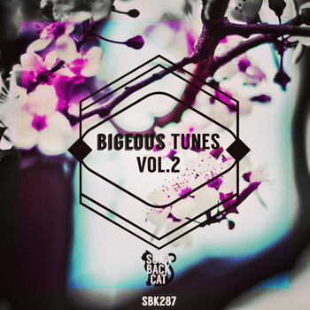 Various Artists - Bigeous Tunes, Vol. 2