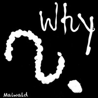 Maiwald - Why?