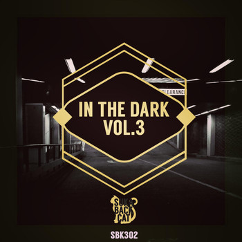 Various Artists - In the Dark, Vol. 3