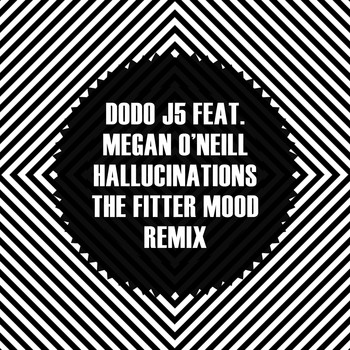 Dodo j5 - Hallucinations (The Fitter Mood Remix)