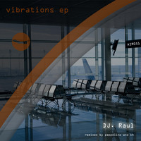 DJ Raul - Vibrations EP
