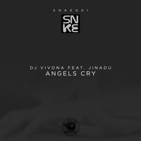 DJ Vivona feat. Jinadu - Angels Cry