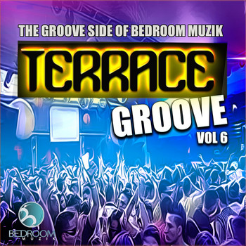 Various Artists - Terrace Groove, Vol. 6