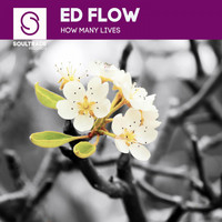 Ed Flow - How Many Lives