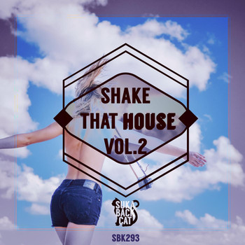 Various Artists - Shake That House, Vol. 2