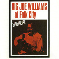 Big Joe Williams - At Folk City 1962