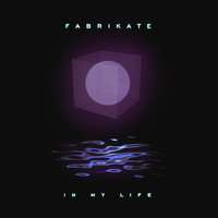Fabrikate - In My Life