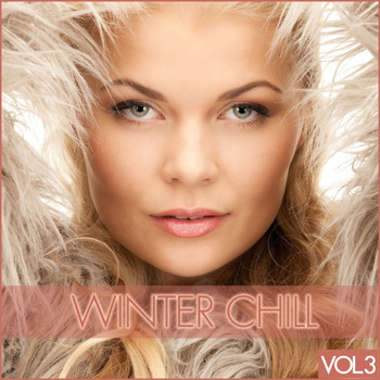 Various Artists - Winter Chill, Vol. 3