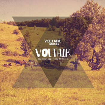 Various Artists - Voltaik #16