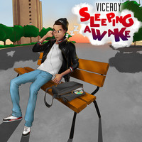 Viceroy - Sleeping Awake