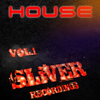 Various Artists - SLiVER Music House, Vol. 1
