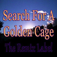 Deeptech - Search for a Golden Cage (2LS2Dance Dubhouse Basement Meets Bunker Deephouse Music)