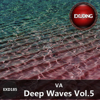 Various Artists - Deep Waves, Vol. 5
