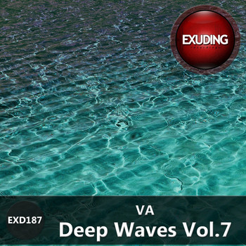 Various Artists - Deep Waves, Vol. 7