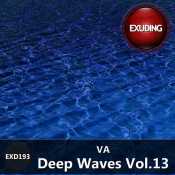 Various Artists - Deep Waves, Vol. 13