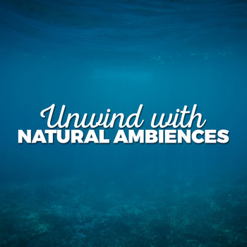 Soothing Sounds - Unwind with Natural Ambiences