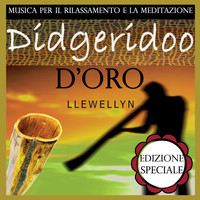 Llewellyn - Didgeridoo d'oro: musica per il rilassamento e la meditazione: edizione speciale