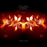 Pete Lukas & Igness - Audie (Manu3L Remix)