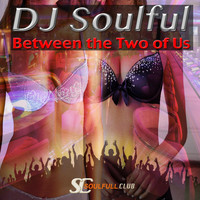 DJ Soulful - Between the Two of Us