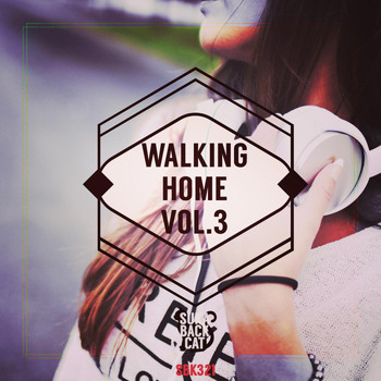 Various Artists - Walking Home, Vol. 3