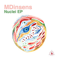 MDinsens - Nuclei