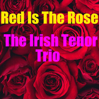 The Irish Tenor Trio - Red Is The Rose