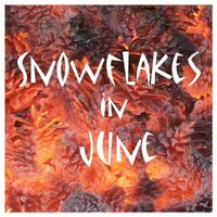 The Bitter Springs - Snowflakes In June EP