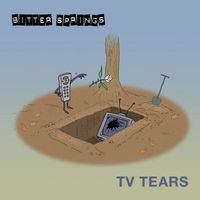 The Bitter Springs - TV Tears