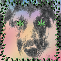 Crocodiles - Foolin' Around