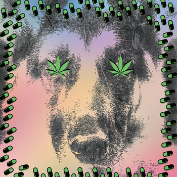 Crocodiles - Foolin' Around