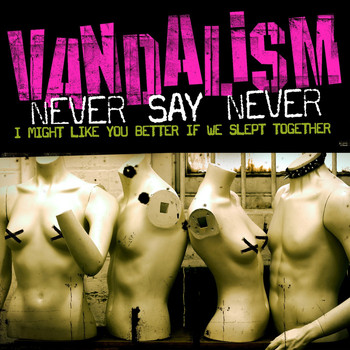 Vandalism - Never Say Never