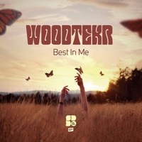 Woodtekr - Best In Me