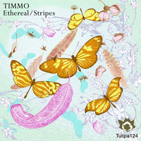 Timmo - Ethereal / Stripes