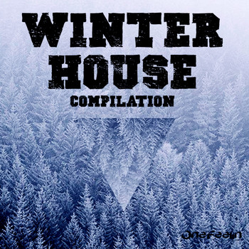 Various Artists - Winter House Compilation