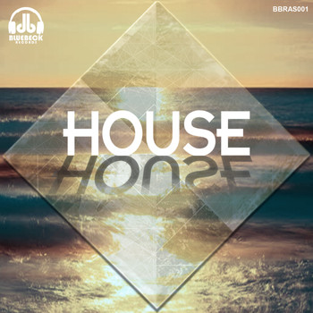 Various Artists - House