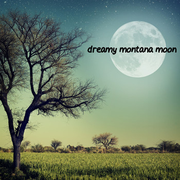 American Country Hits - Dreamy Montana Moon