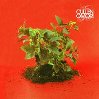 Cullen Omori - Cinnamon