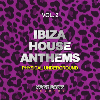 Various Artists - Ibiza House Anthems, Vol. 2 (Physical Underground)